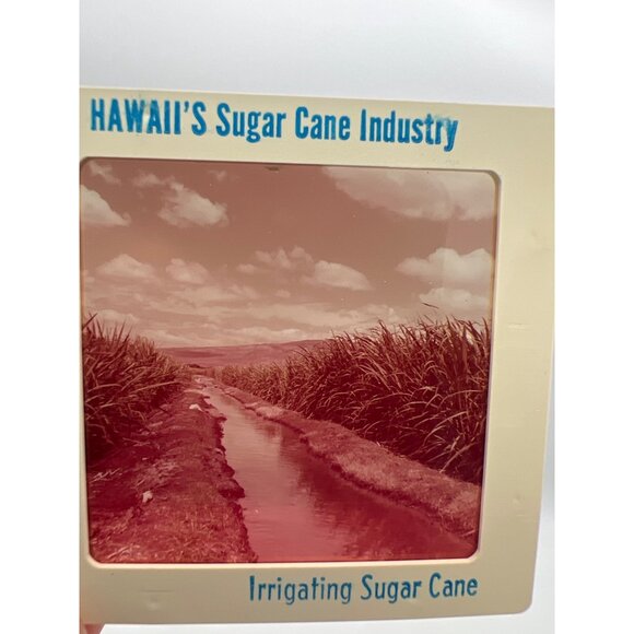 Vintage Pineapple & Sugar Cane Industries GAF Pana-Vue Travel Slides Hawaii - Picture 8 of 11